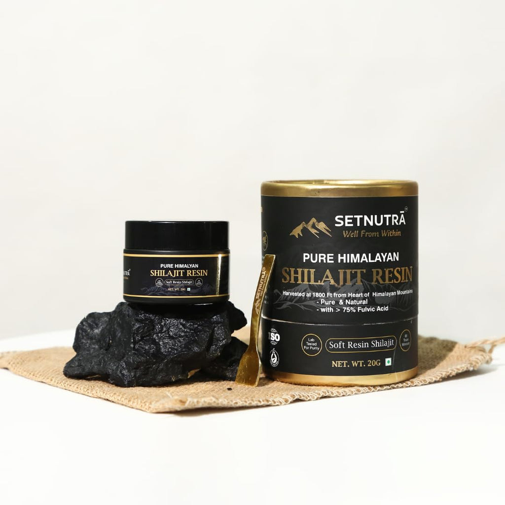SETNUTRA Shilajit Resin Pure Himalayan Shilajit /Shilajeet 20g